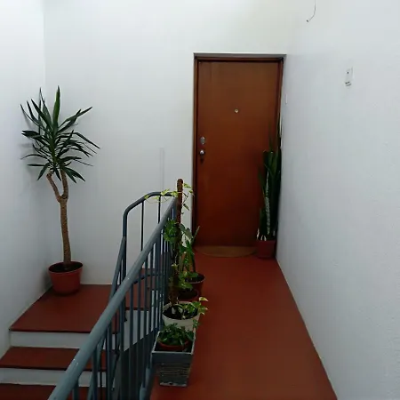 Apartment Encarnacao Metro 1